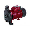 Помпа водна 750W 1" max 96L/min RAIDER RD-CPM158 – Raider Garden Tools