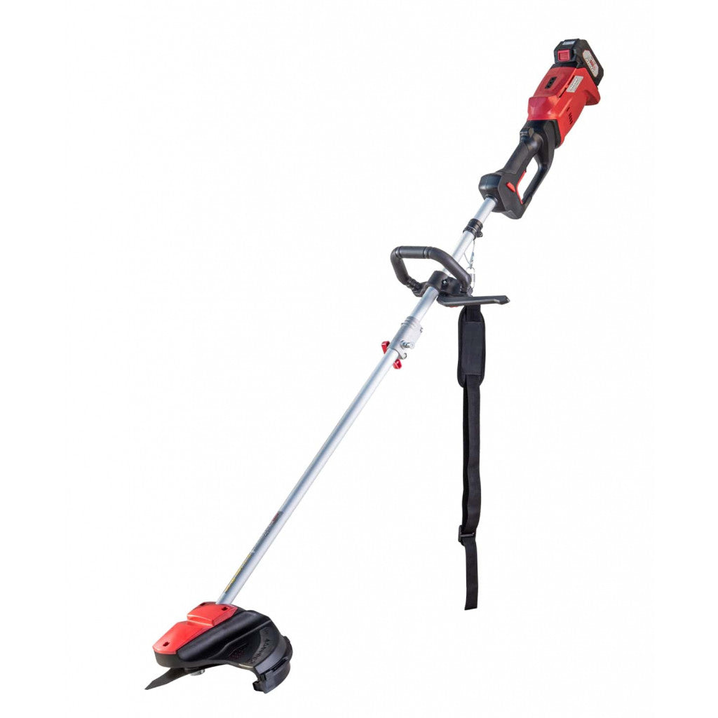 R20 Коса безчеткова акум. 300mm 20V 2Ah 1h RAIDER PRO RDP-SBBC20 Set Raider Garden Tools - BGShopping.net