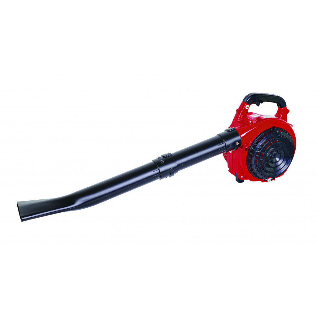 Листосъбирач бензинов 750W 30L RAIDER RD-GBV05 Raider Garden Tools - BGShopping.net