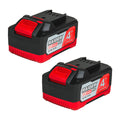 R20 Батерии 20V 2x4Ah за серията RDP-R20 System Raider Pro BGShopping.net