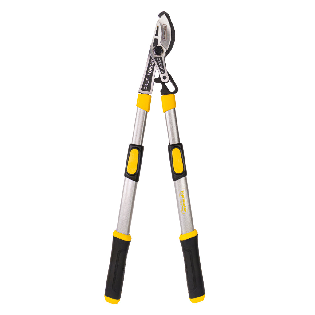 Ножица за клони телескопична дръжка трето поколение Topmaster Professional