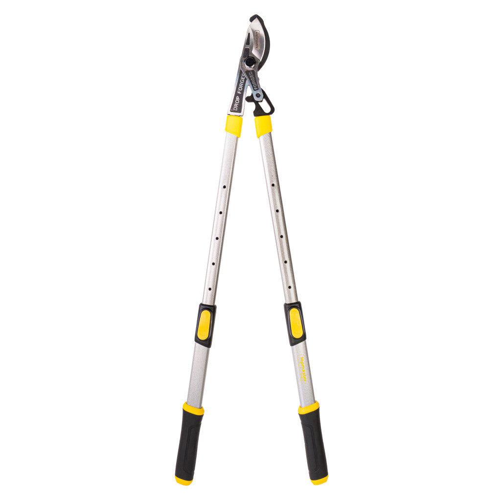 Ножица за клони телескопична дръжка трето поколение Topmaster Professional - снимка 2