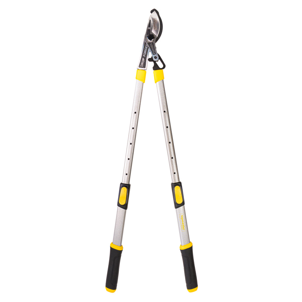 Ножица за клони телескопична дръжка трето поколение Topmaster Professional - снимка 2