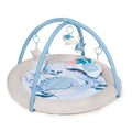 KinderKraft COZYPLAY активна гимнастика NORDIC BREEZE